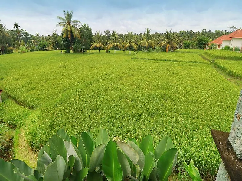 Bisma Cottages Ubud Ubud (Bali)