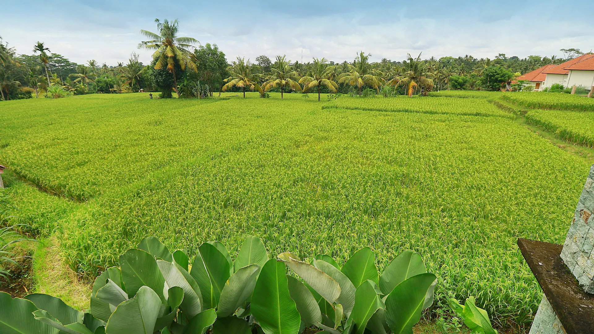 Bisma Cottages Ubud Hotel