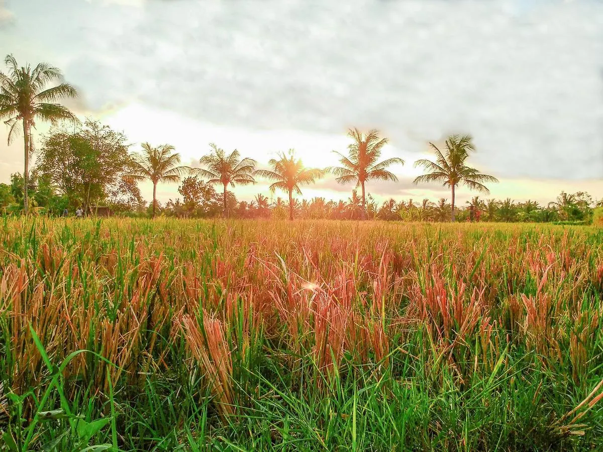 Bisma Cottages Ubud Indonesia